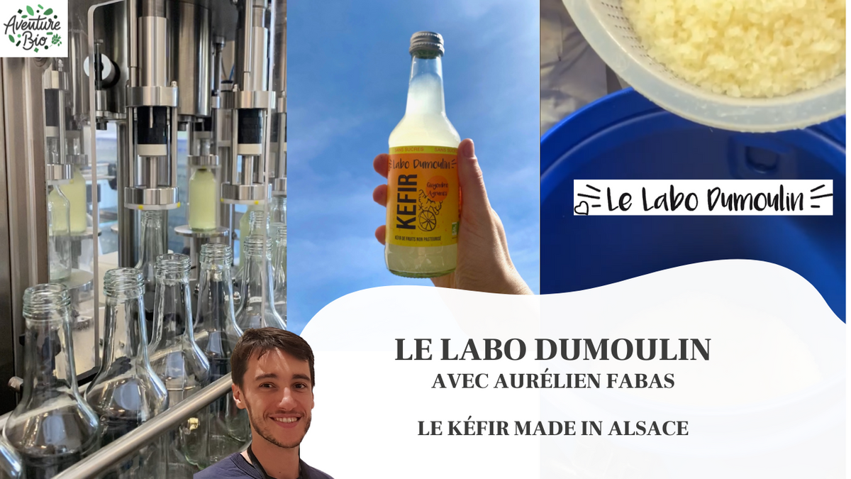 Le Labo Dumoulin - visite d'un labo de Kéfir en Alsace