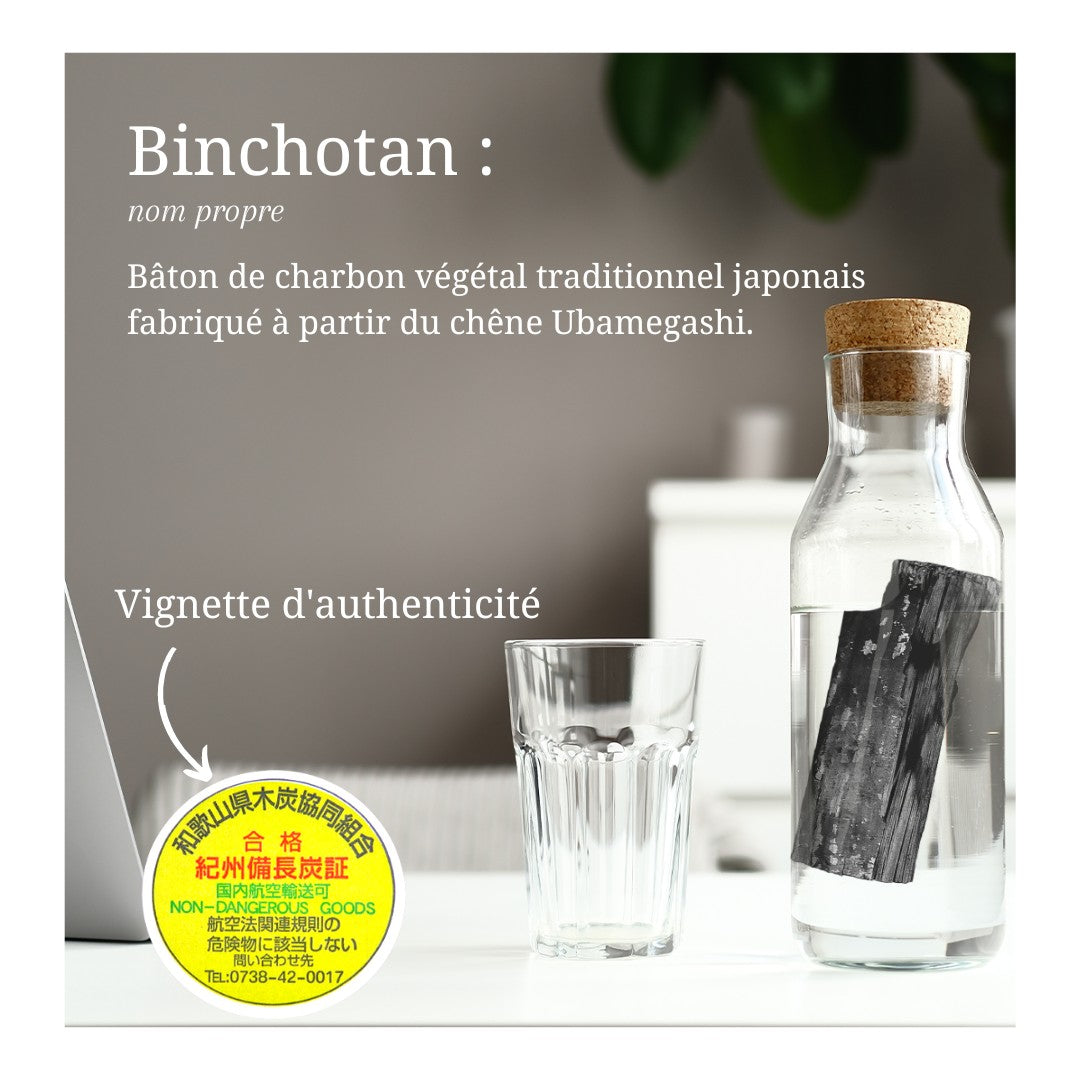 Charbon de bois binchotan – Filtre à eau
